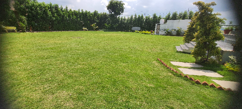 view-4