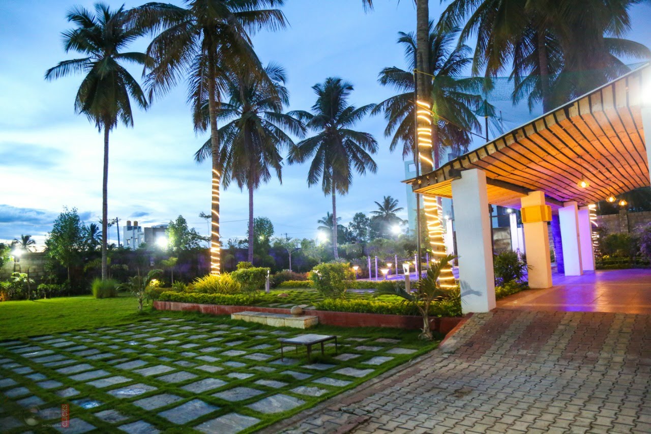 view-4