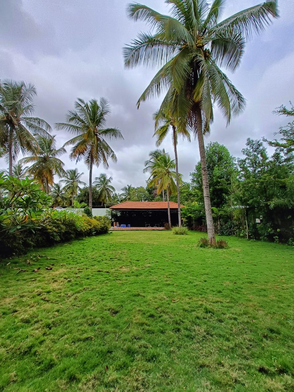 view-2