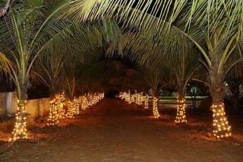 forest haven farms