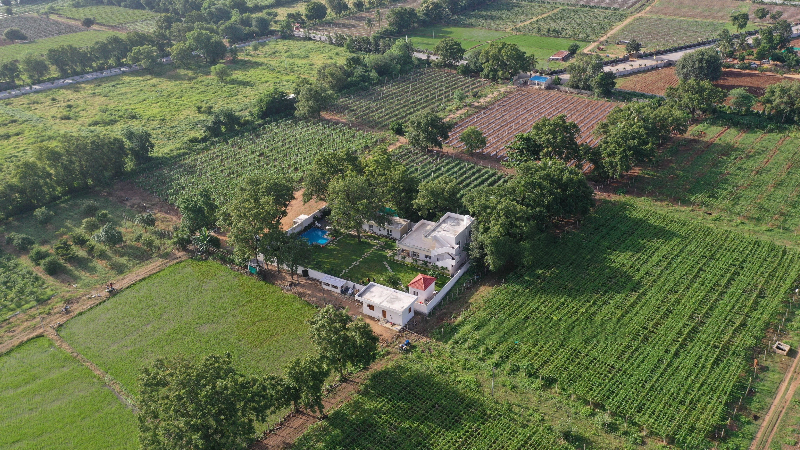view-5