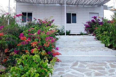 Rustic Vogue