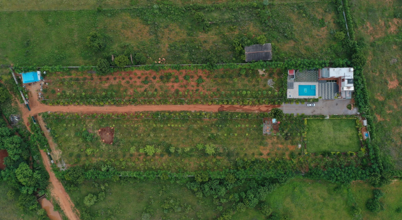 view-4