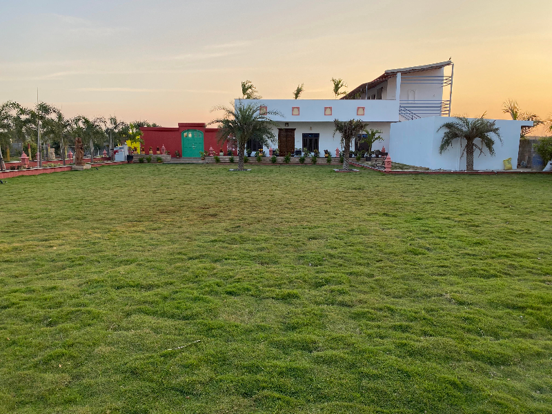 view-4
