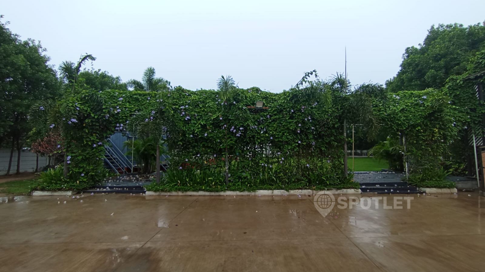 view-1