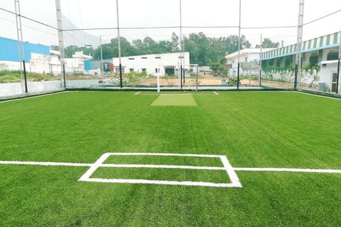 The pitch