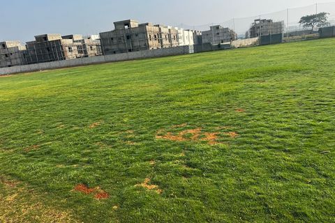 YNR Cricket Ground